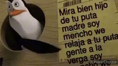 soy el mencho wey|mira bien hijo de tu ptm.